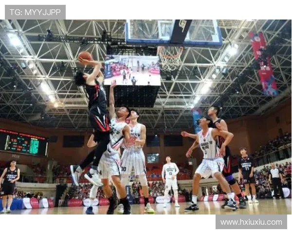 2019篮球联赛视频（2019篮球比赛）sports